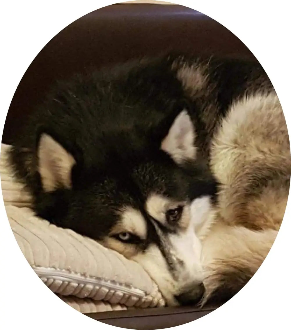 luna.png