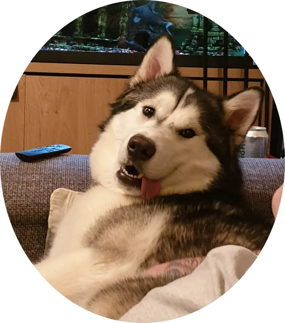 chinook.png