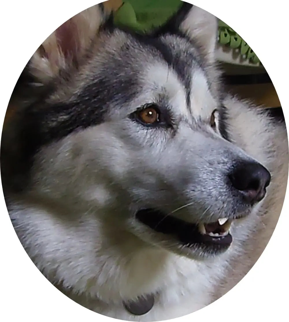 skye.png