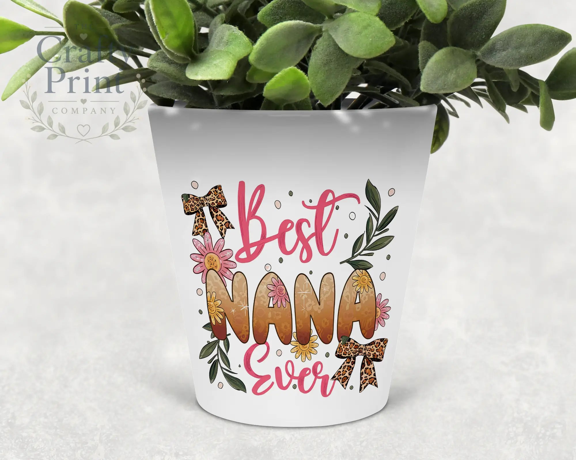 Best Nana Ever Plant Pot - Home & Garden > Lawn Gardening