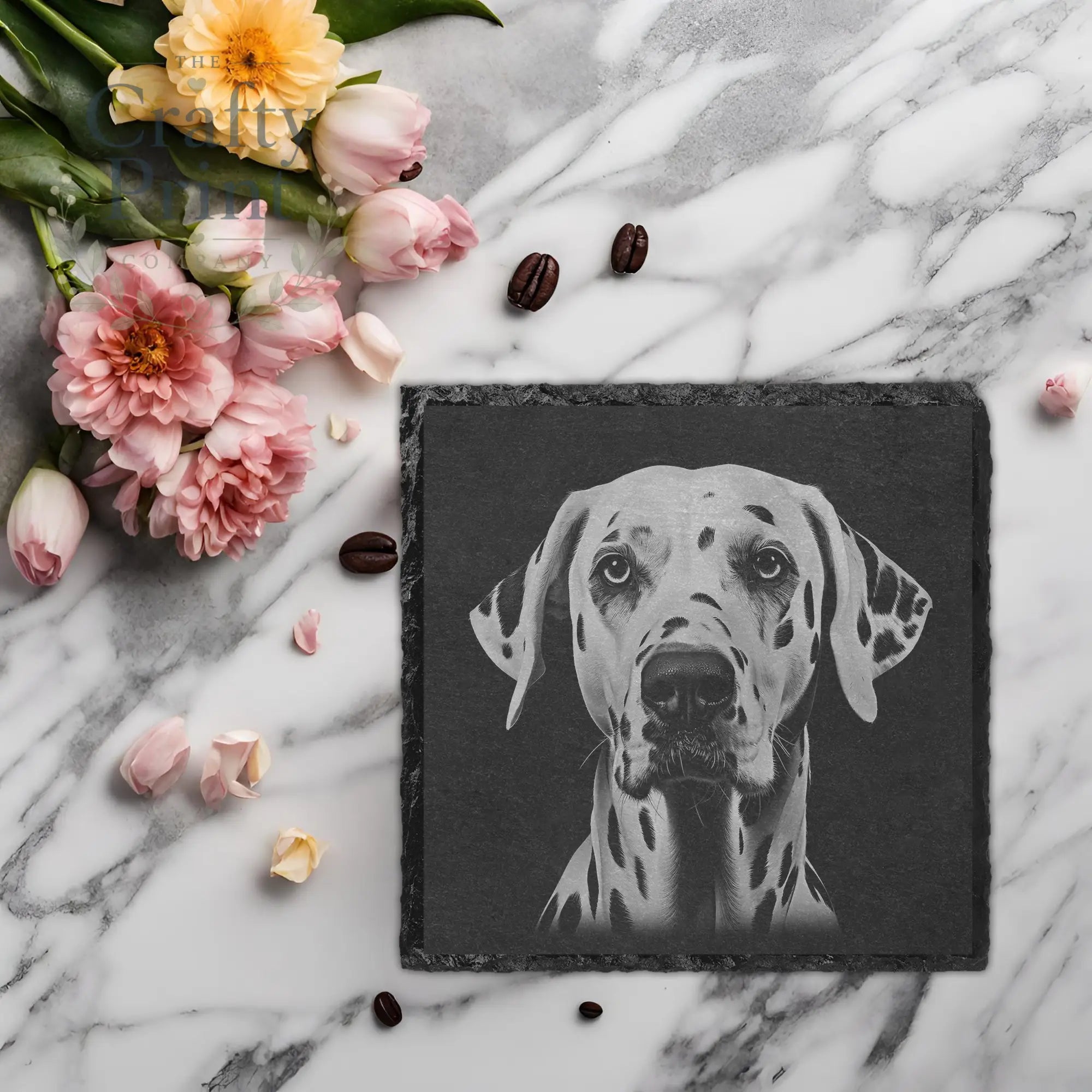 Dalmation Engraved Slate Coaster - Square