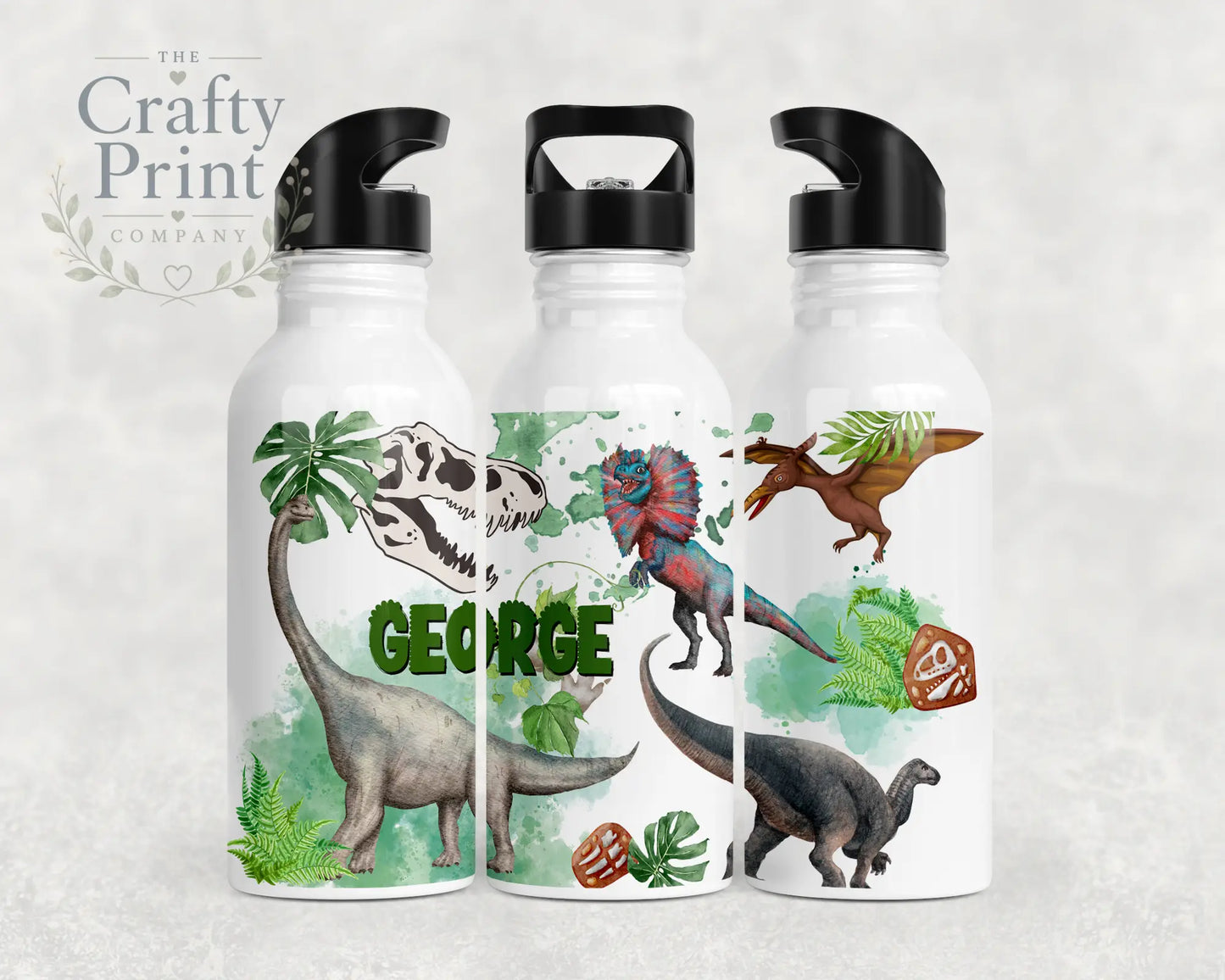 Dinosaurs Personalised Water Bottle with straw - Bottles