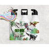 Dinosaurs Personalised Water Bottle with straw - Bottles