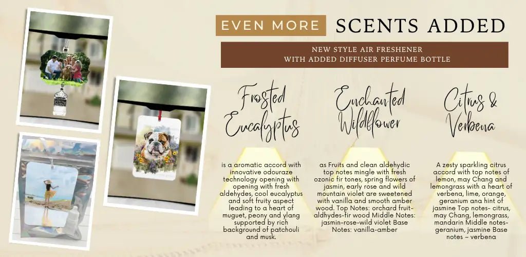 Frosted eucalyptus air freshener with a rectangular, white diffuser perfume bottle featuring an elegant design and hanging charm.