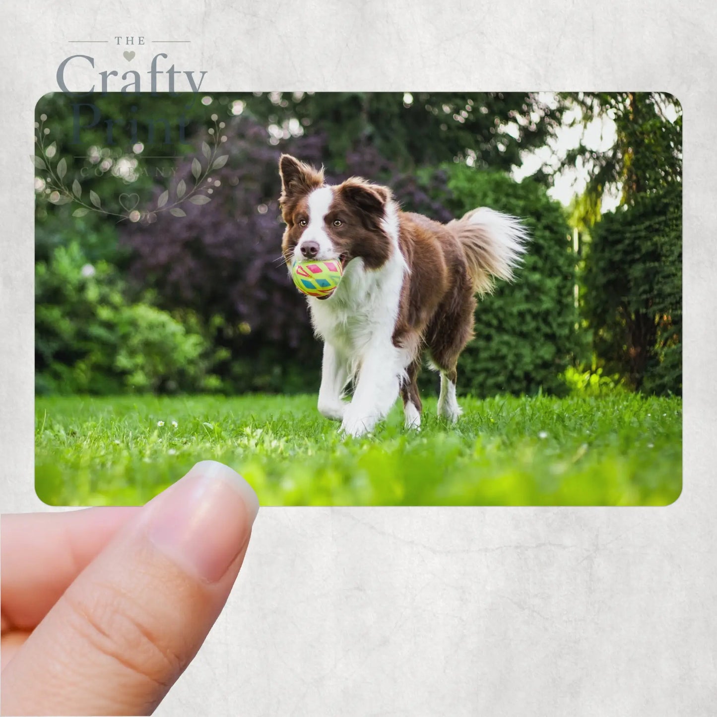 Happy Father’s Day From the Dog Personalised Card