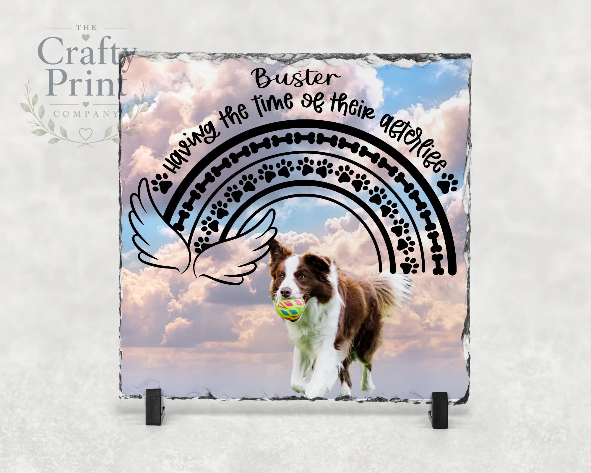Having the time of their Afterlife Pet Memorial Square