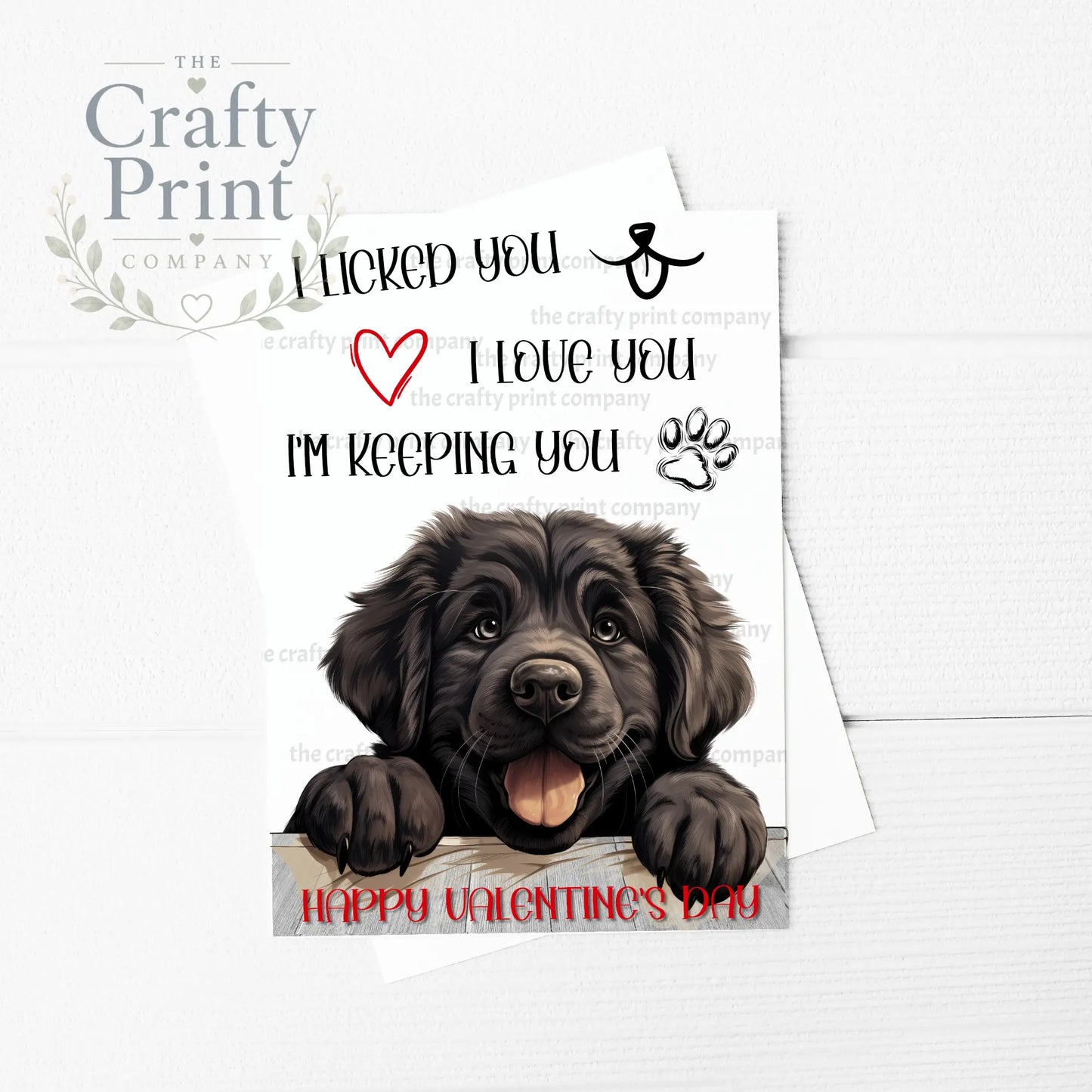 I licked you Newfoundland A5 Valentine Card - Greeting &