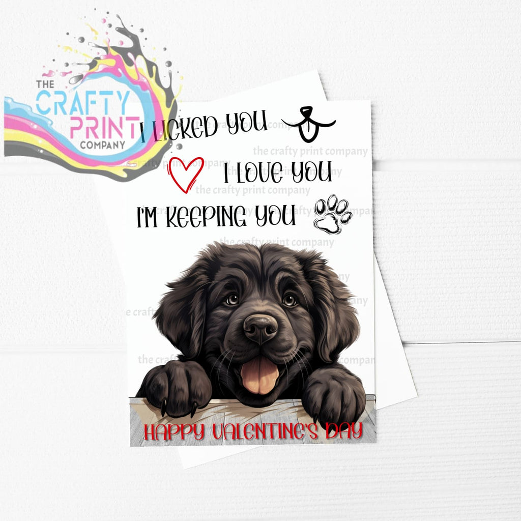 I licked you Newfoundland A5 Valentine Card - Greeting &