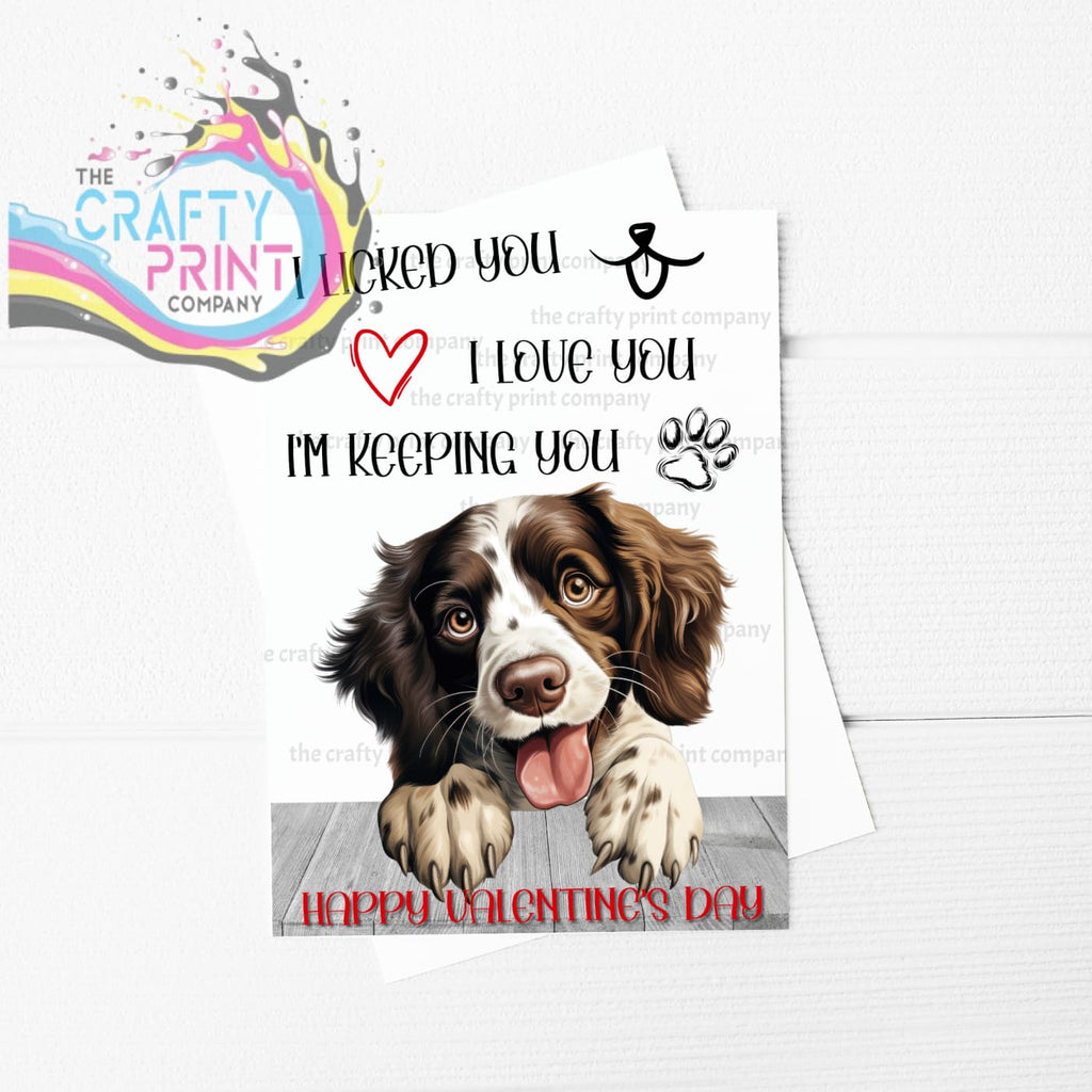 I licked you Springer Spaniel A5 Valentine Card - Greeting &