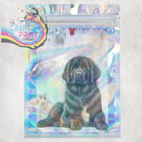 Newfoundland Paw Print Car Air Freshener - Vehicle