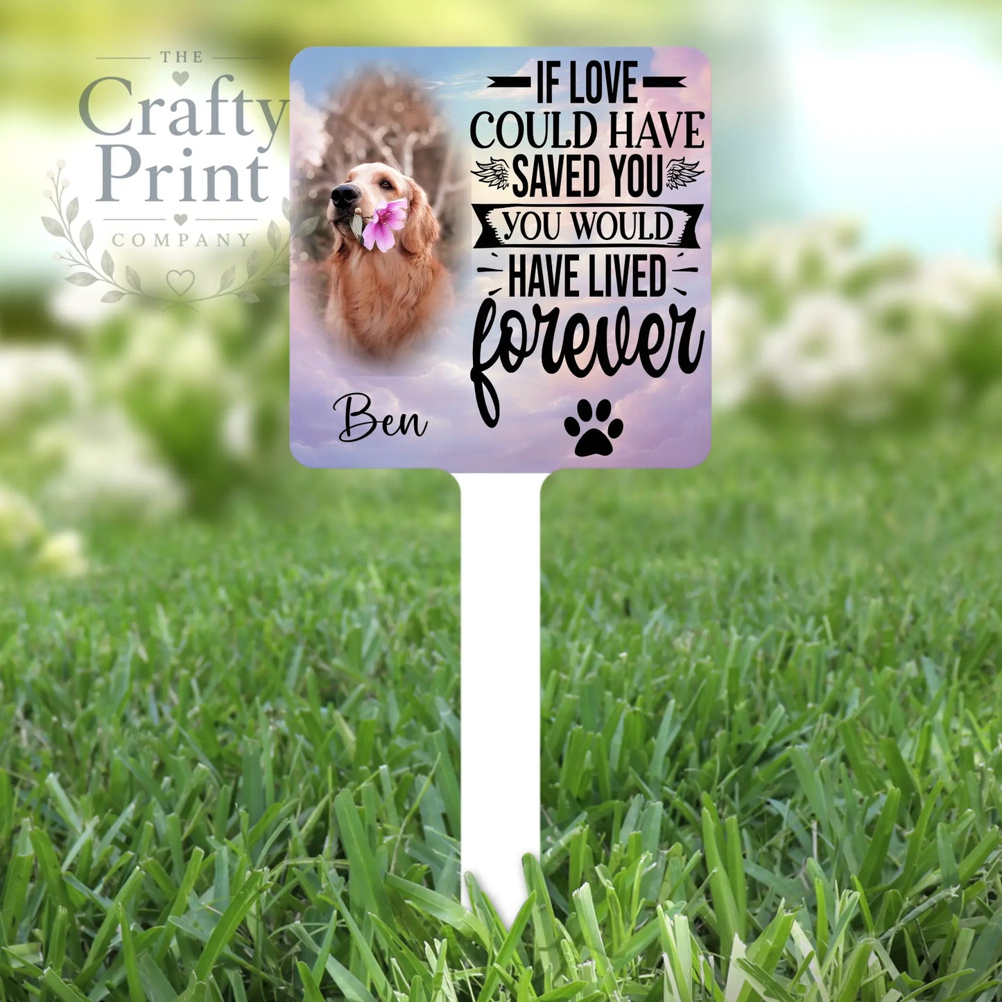 Personalised Dog / Cat If love could have saved