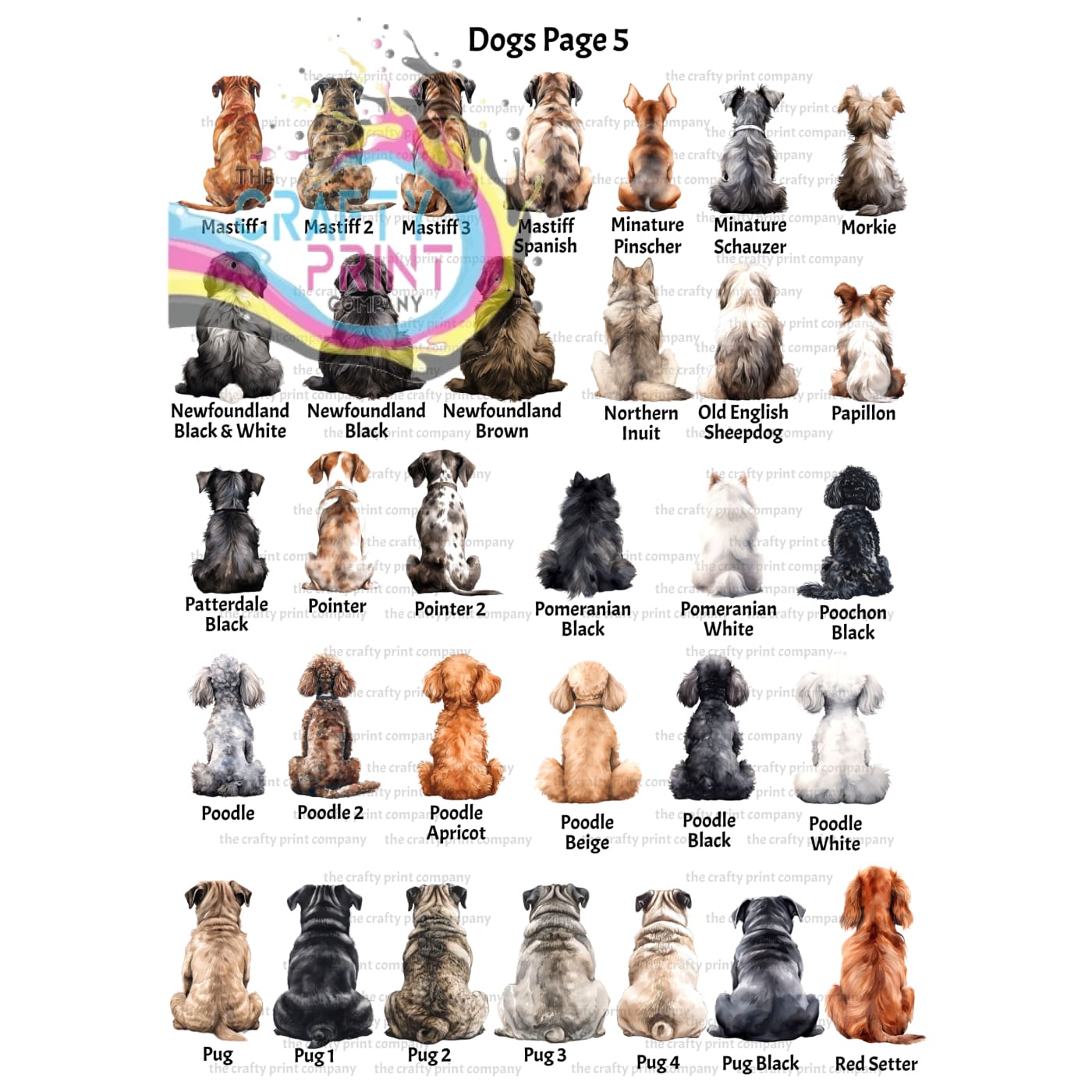 Personalised Dog Rainbow Bridge A5 Card - Greeting & Note
