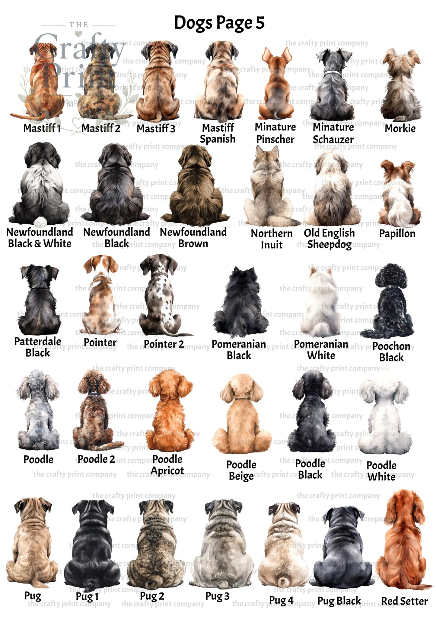 Personalised Dog Rainbow Bridge A5 Card - Greeting & Note