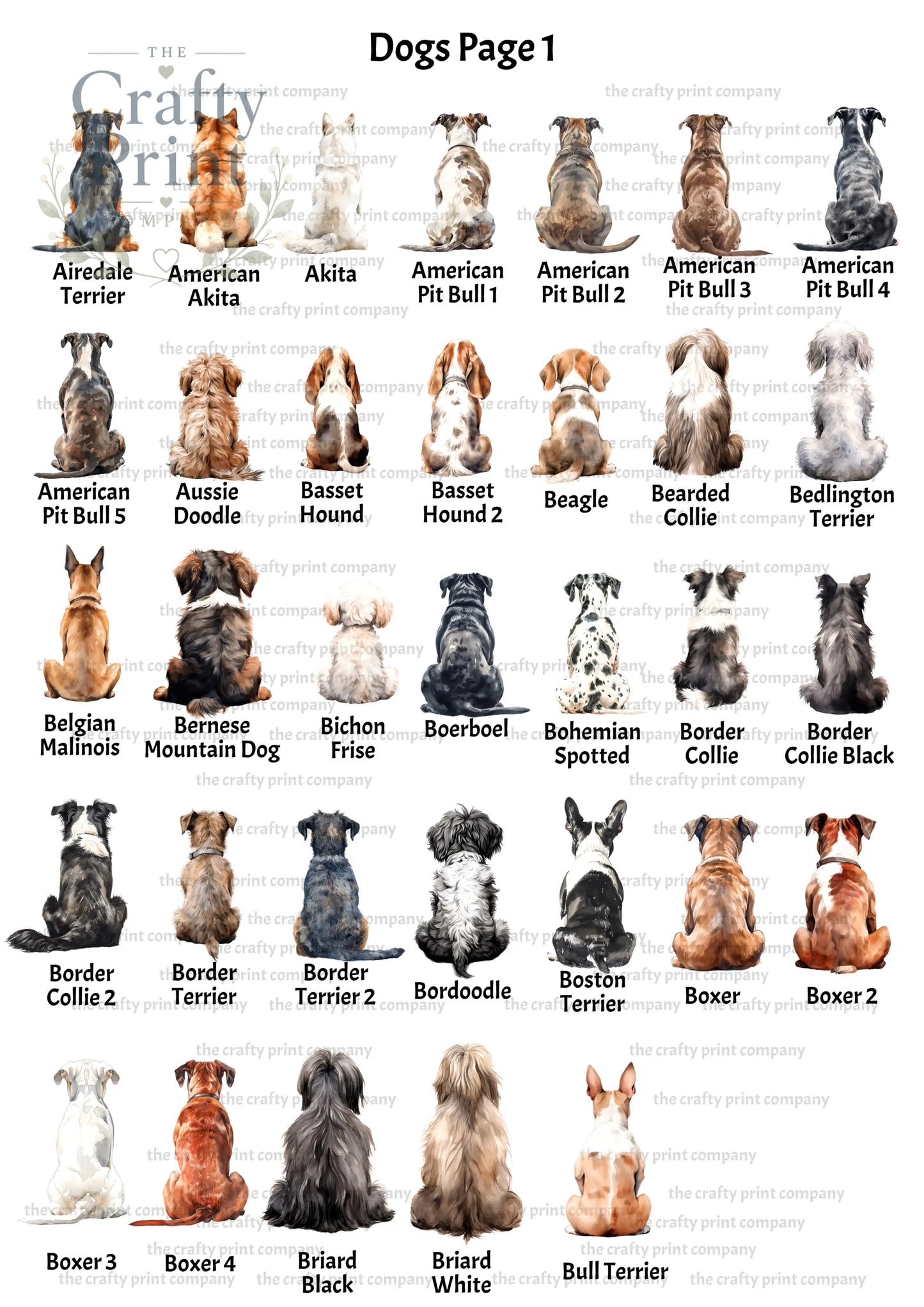 Personalised Dog Rainbow Bridge A5 Card - Greeting & Note