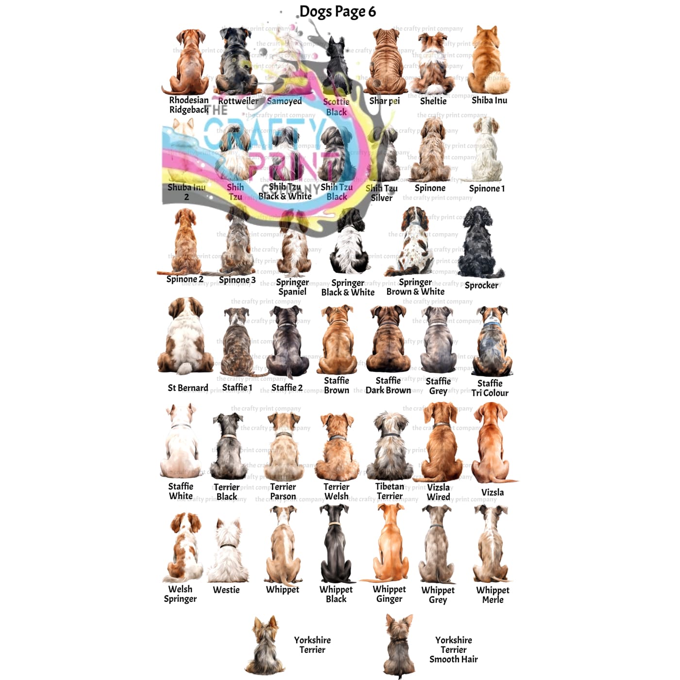 Personalised Dog Rainbow Bridge A5 Card - Greeting & Note