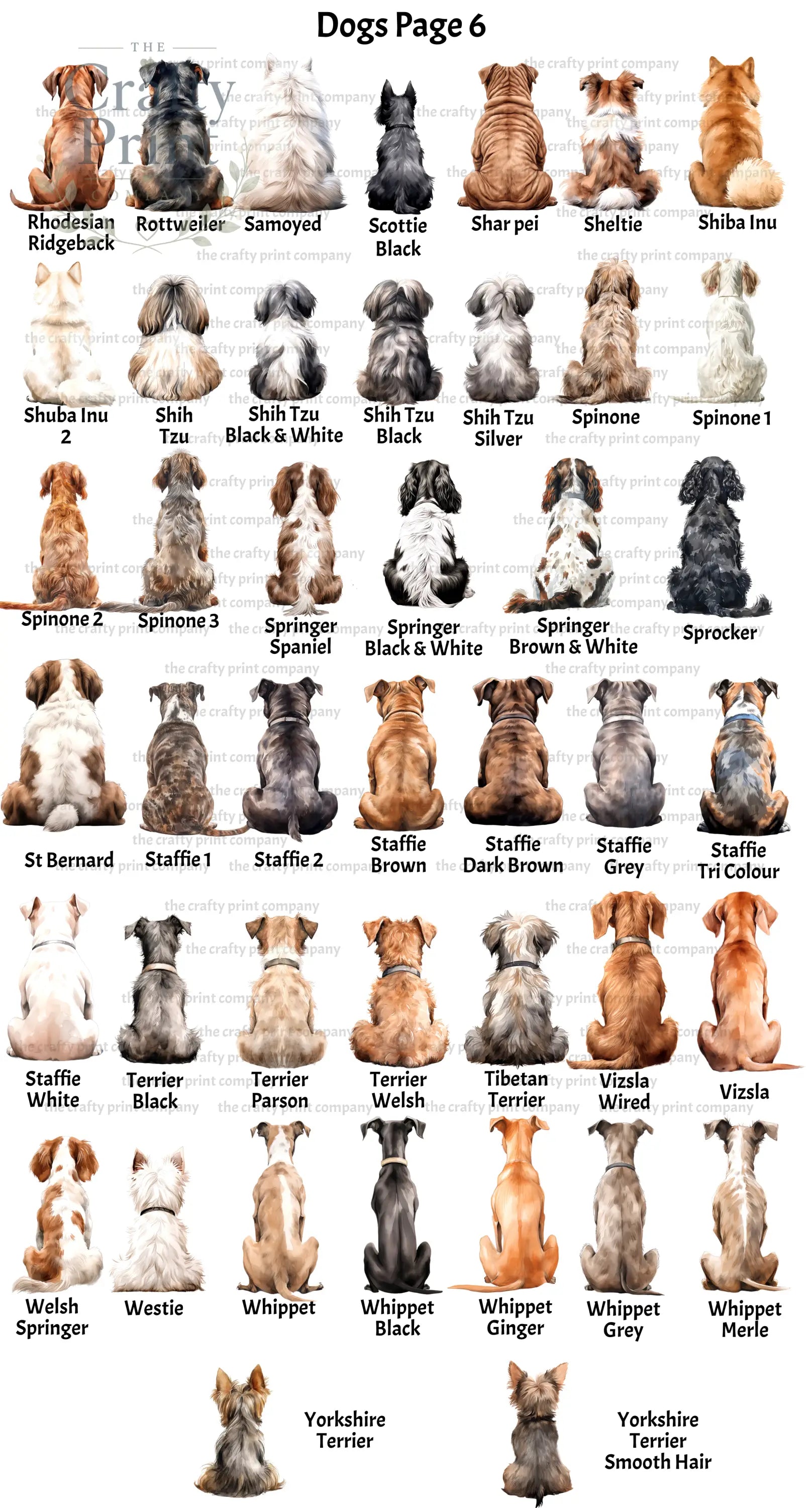 Personalised Dog Rainbow Bridge A5 Card - Greeting & Note