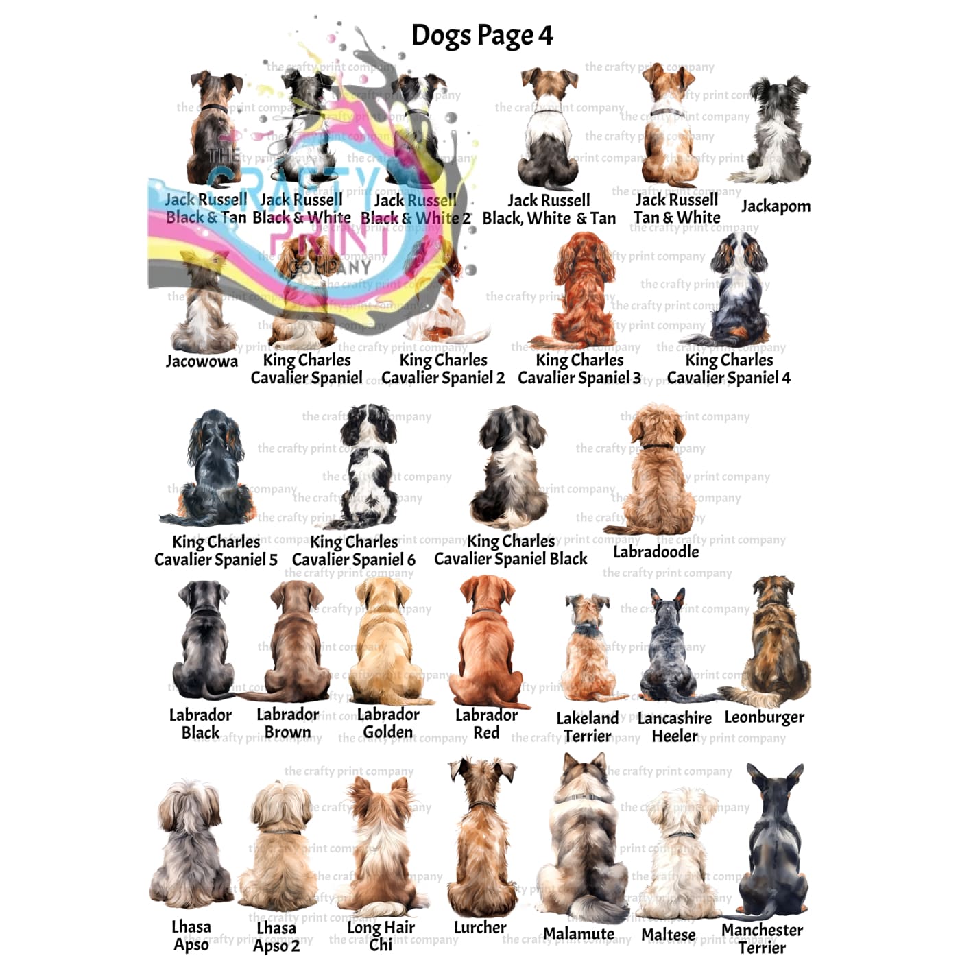 Personalised Dog Rainbow Bridge A5 Card - Greeting & Note