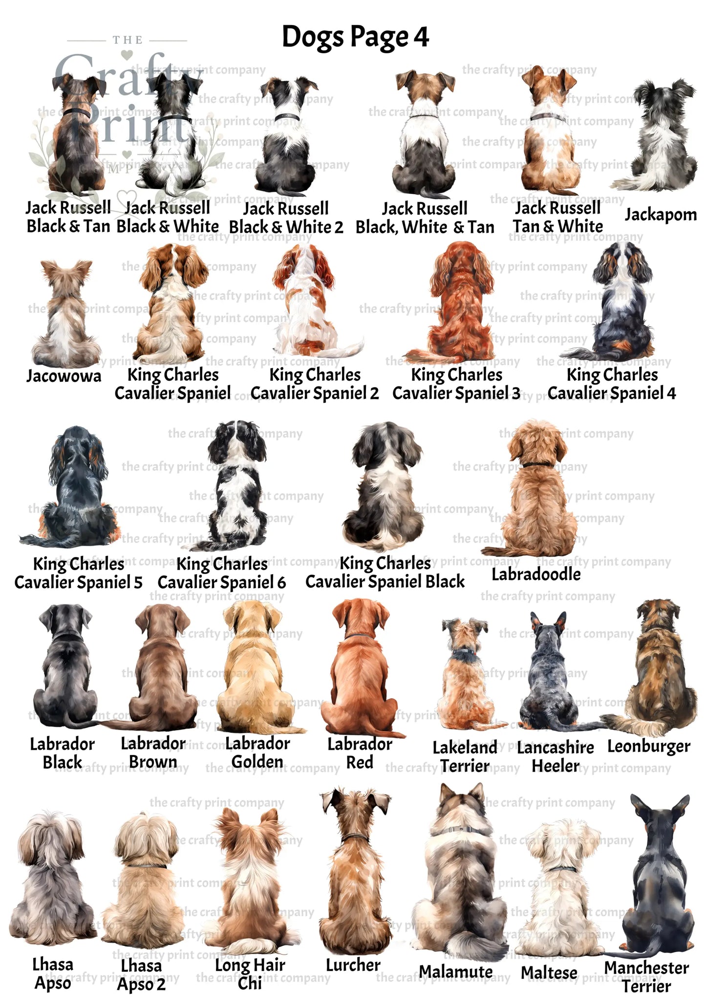 Personalised Dog Rainbow Bridge A5 Card - Greeting & Note