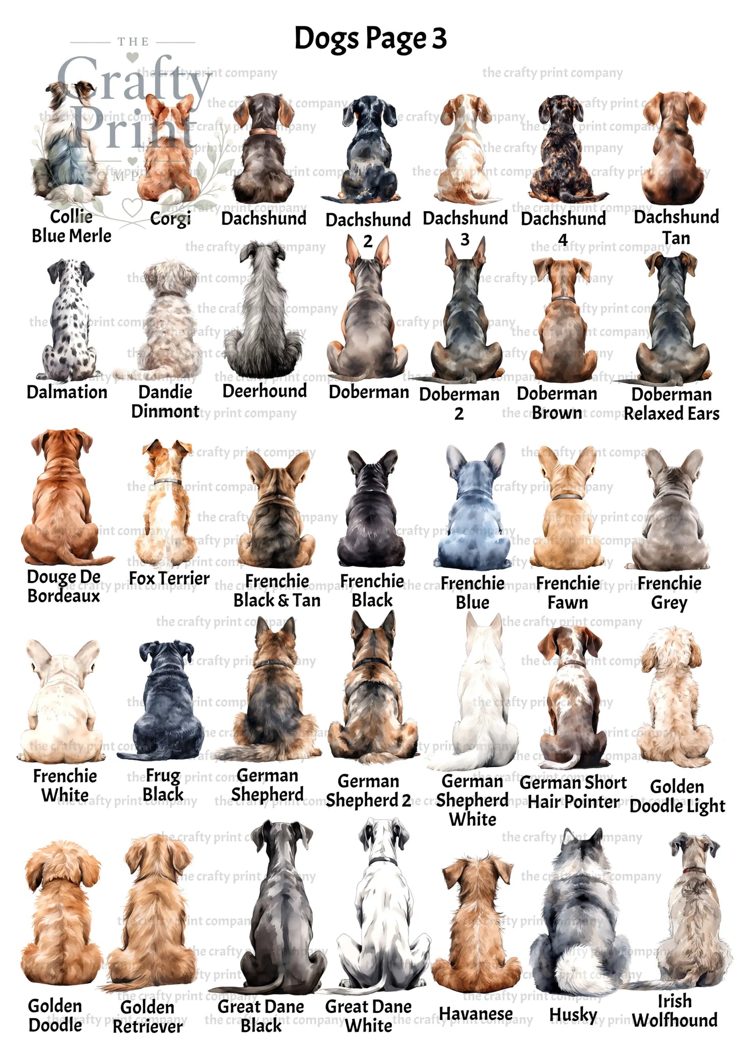 Personalised Dog Rainbow Bridge A5 Card - Greeting & Note
