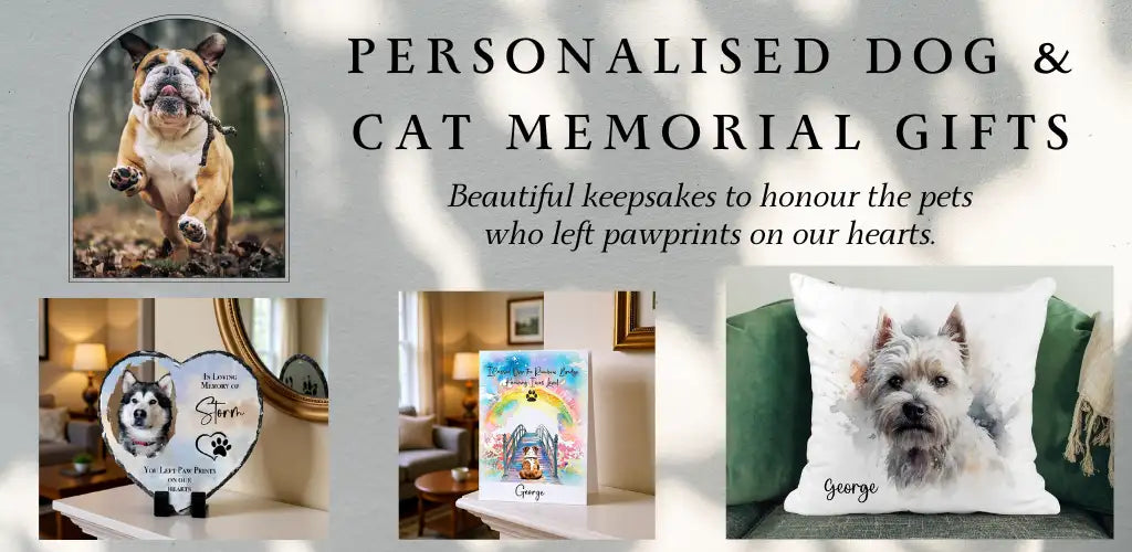 Personalised white cushion featuring a watercolour portrait of a terrier with the name ’george’ embroidered in black script at the bottom.