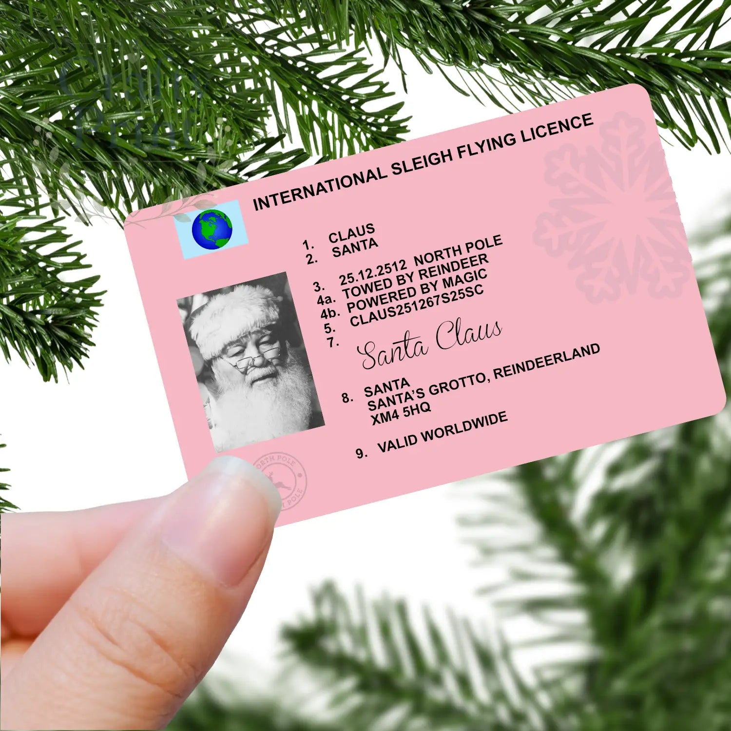 Santa Claus Lost International Flying Licence - Seasonal &