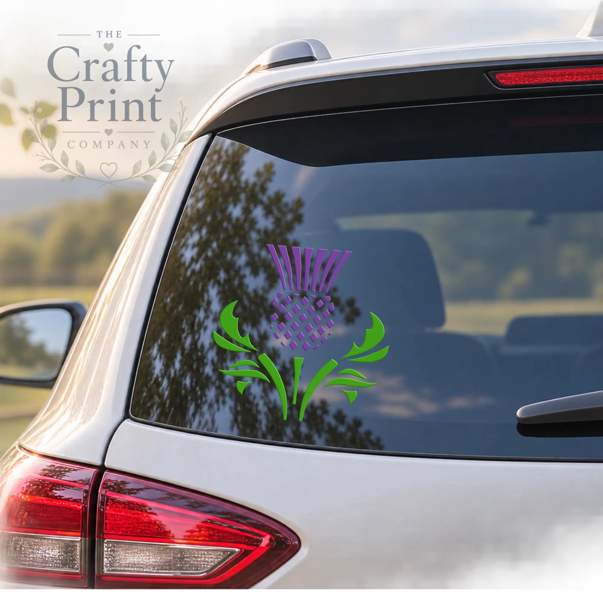 Scottish Thistle 2 colour (Scotland) Novelty Car Sticker