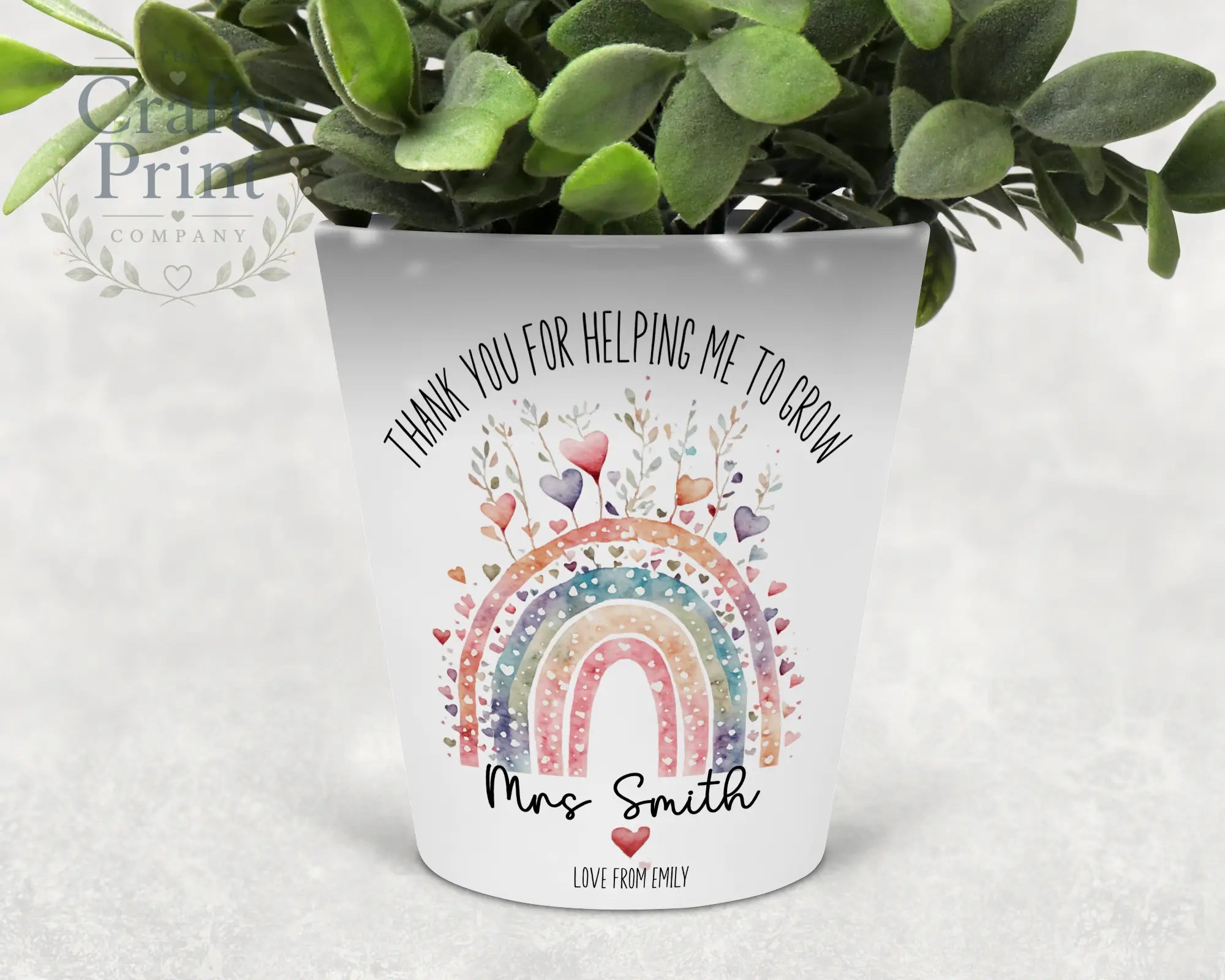 Thank you for helping me to grow Rainbow Heart Plant Pot
