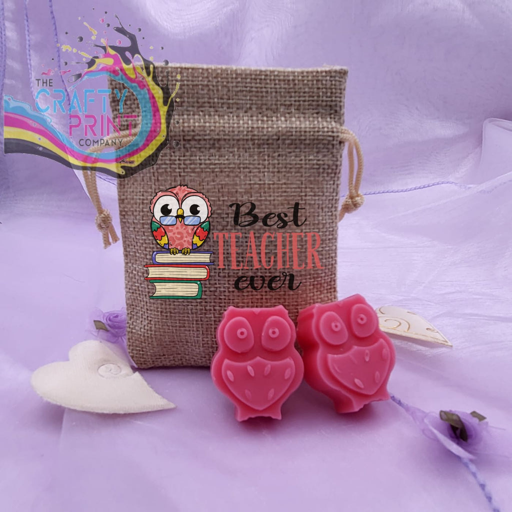 Best Teacher Ever Gift Mini Jute Bag with Owl Wax Melts