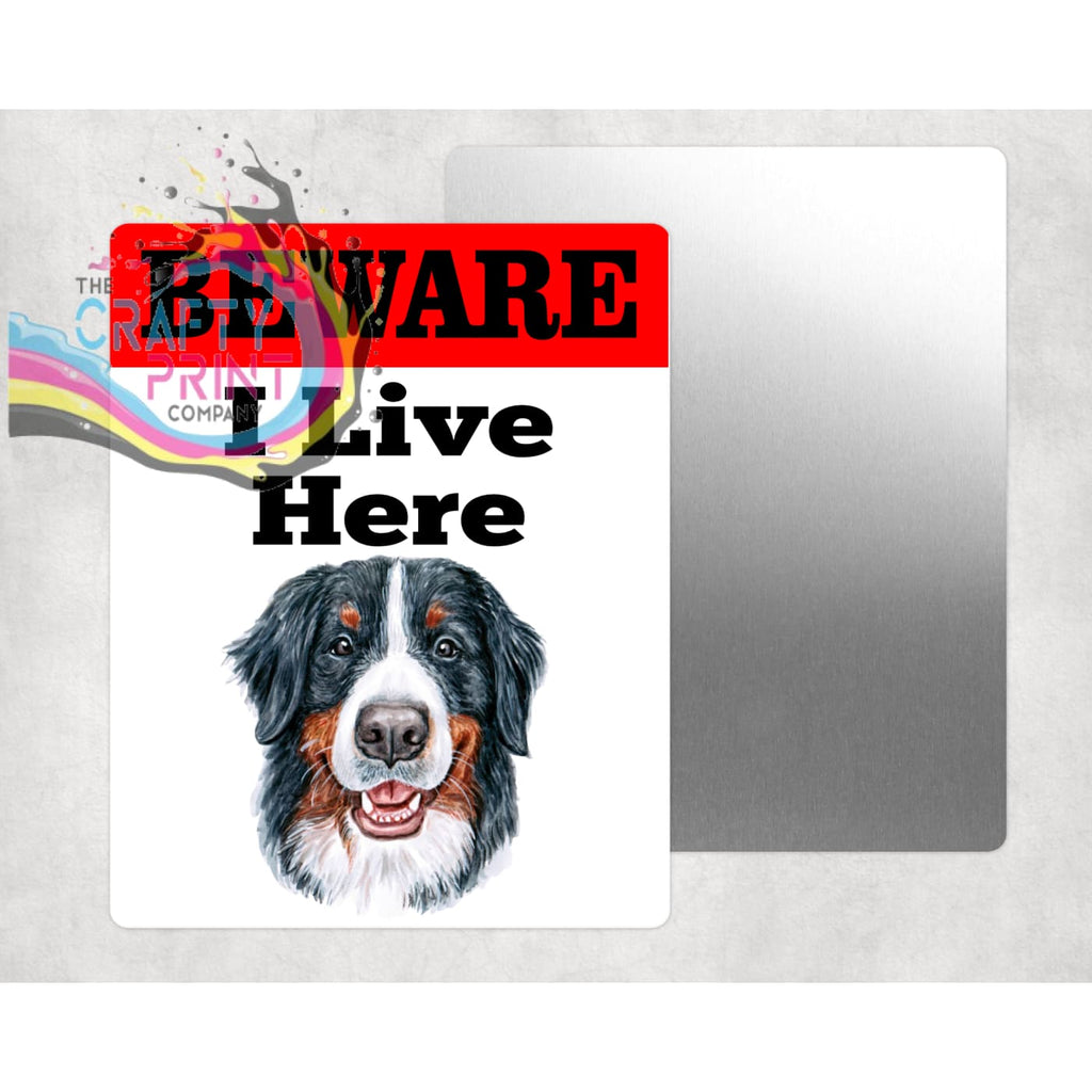 Beware Bernese Mountain Dog Lives Here Aluminium Gate Sign -