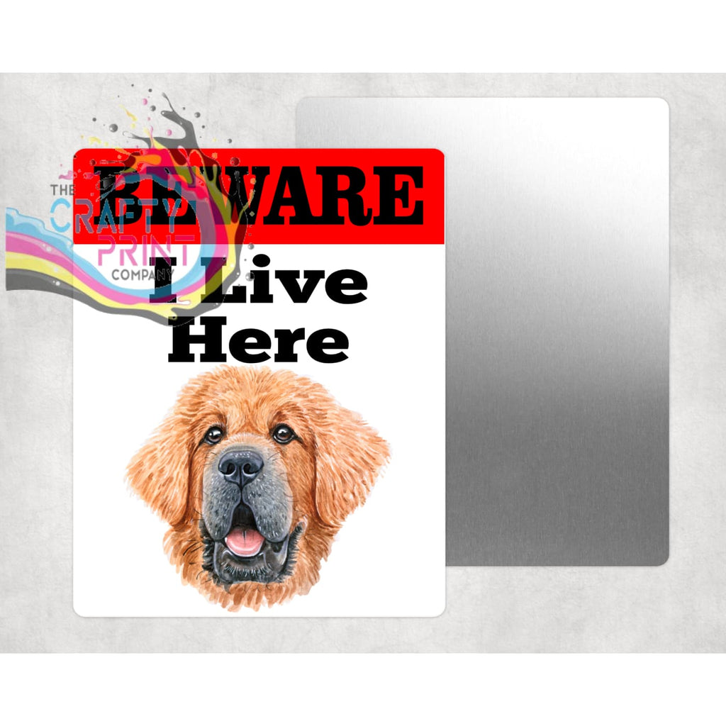 Beware Tibetan Mastiff Lives Here Aluminium Gate Sign -