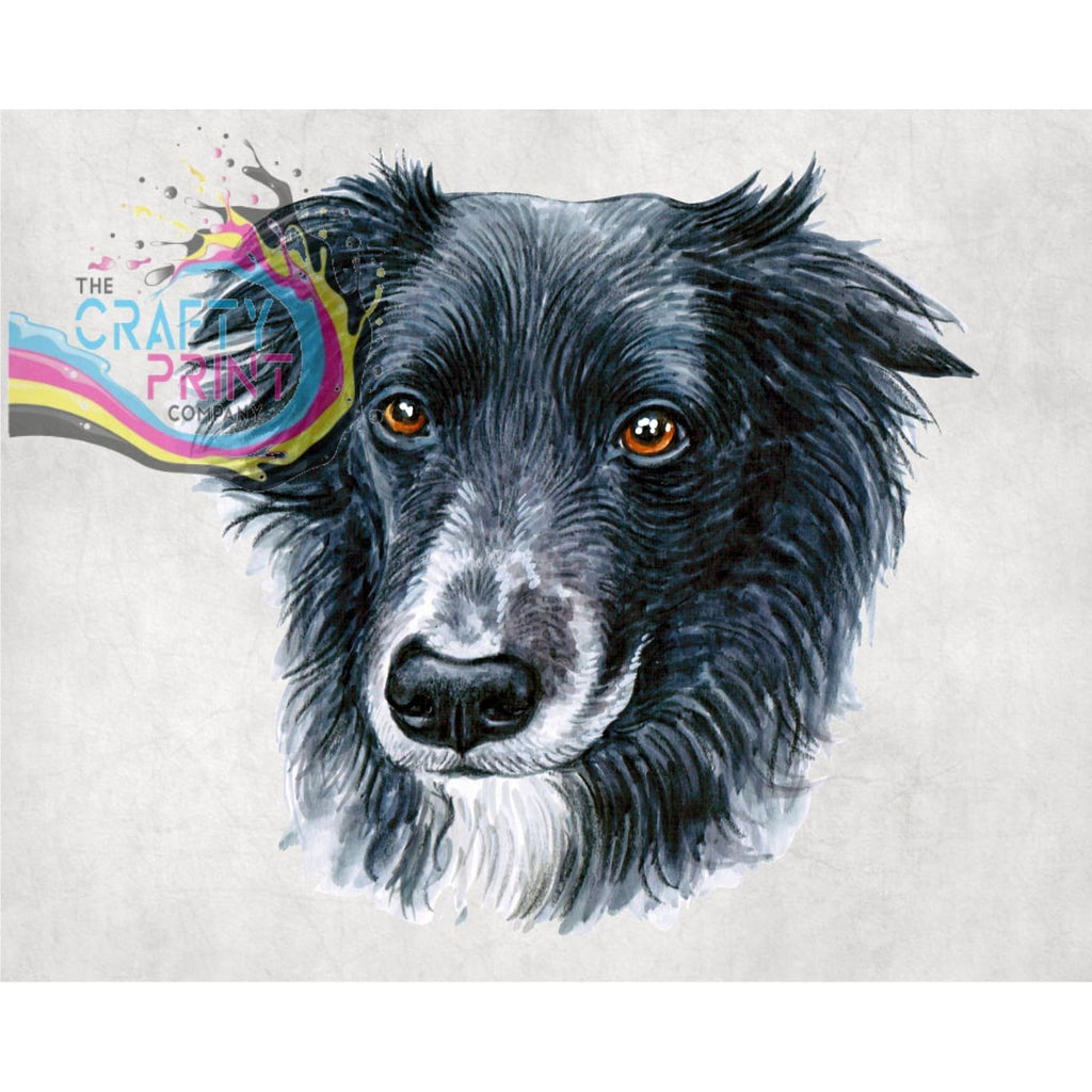 Border Collie T shirt The Crafty Print Company