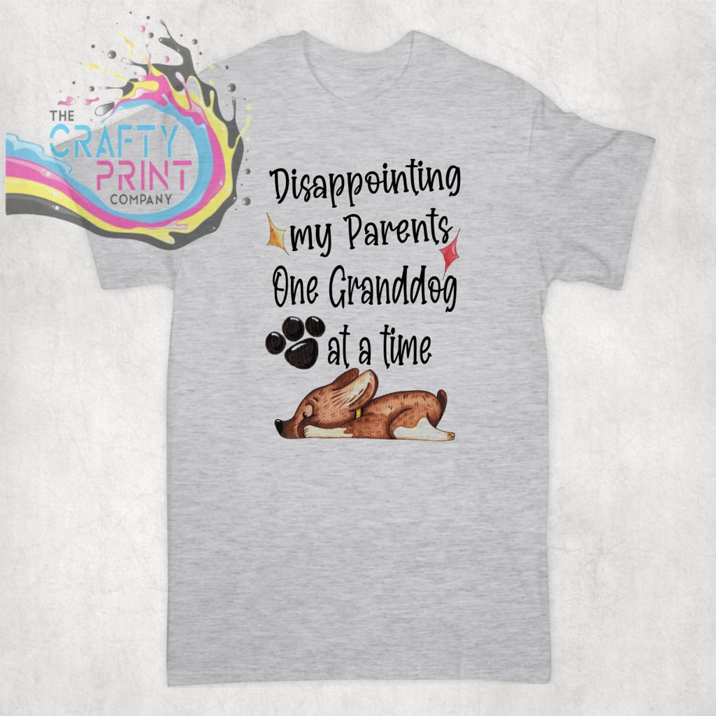 Disappointing my parents one Granddog at a time T-shirt