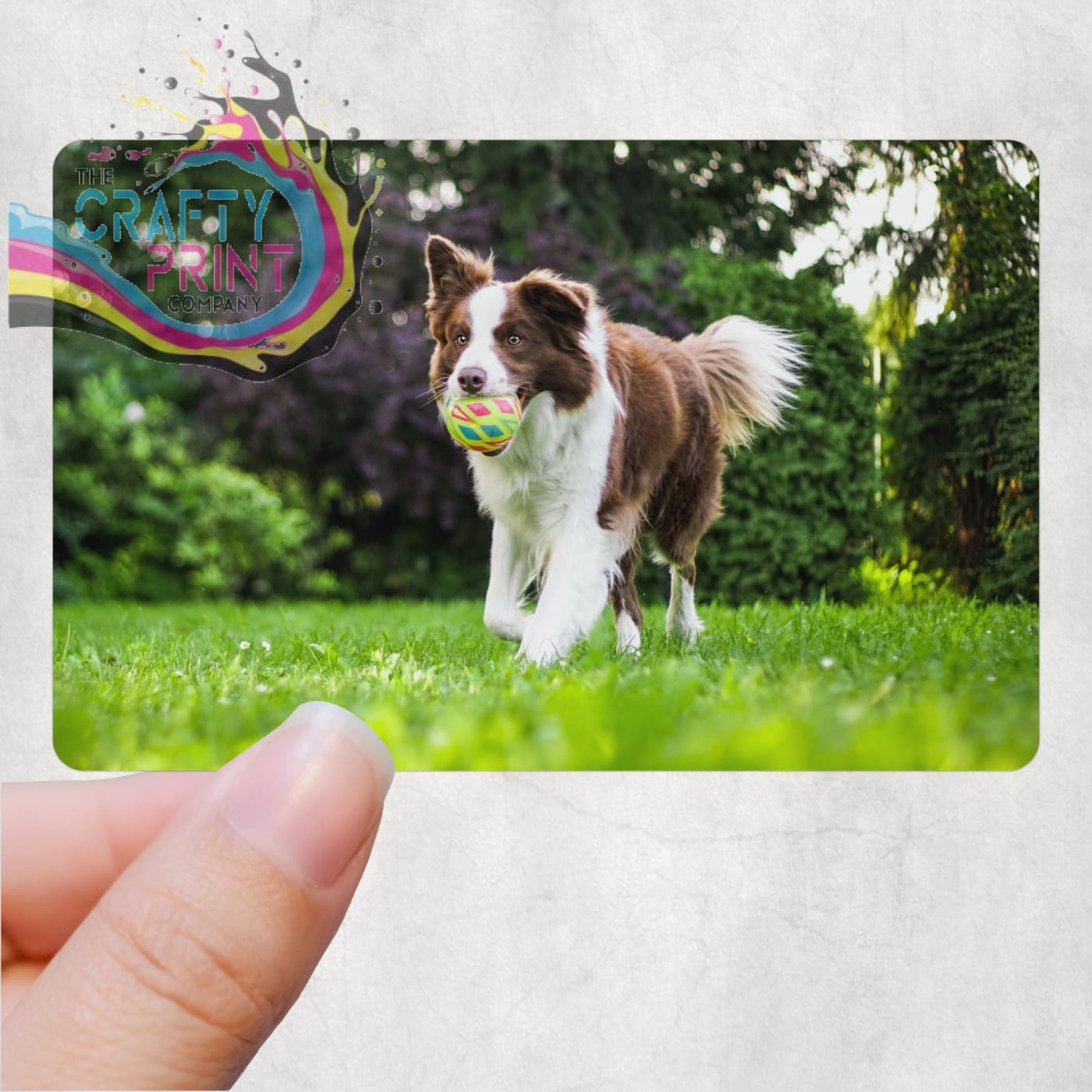 Happy Father’s Day From the Dog Personalised Card