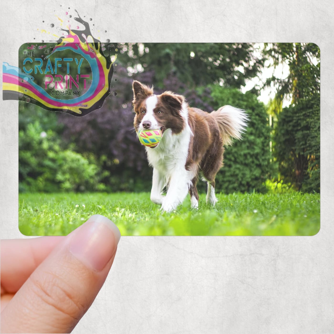 Happy Father’s Day From the Dog Personalised Card