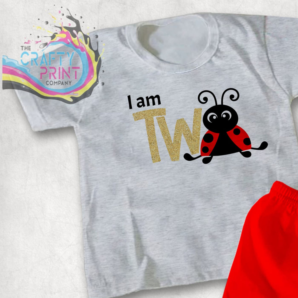 I am Two Ladybird T-shirt - Grey / Gold Glitter - Shirts &