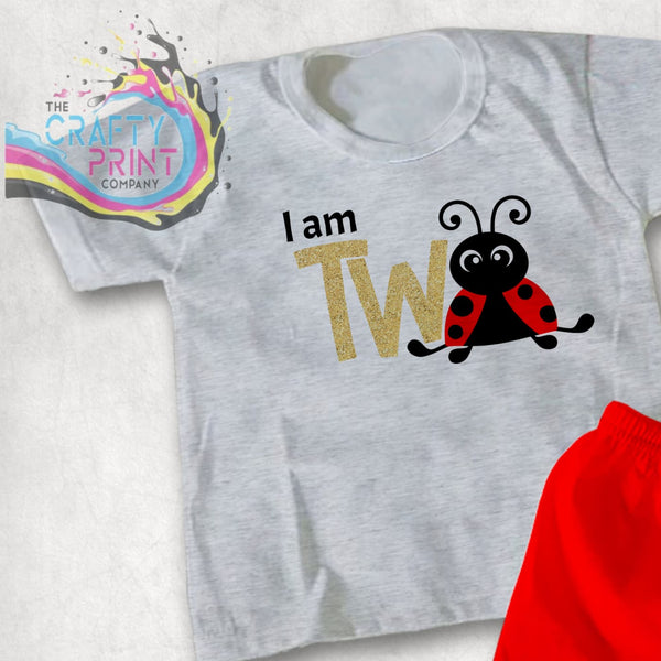 I am Two Ladybird T-shirt - Grey / Gold Glitter - Shirts &