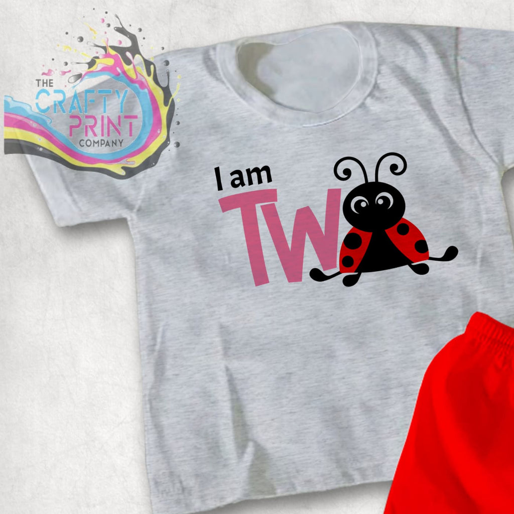 I am Two Ladybird T-shirt - Grey / Pink - Shirts & Tops