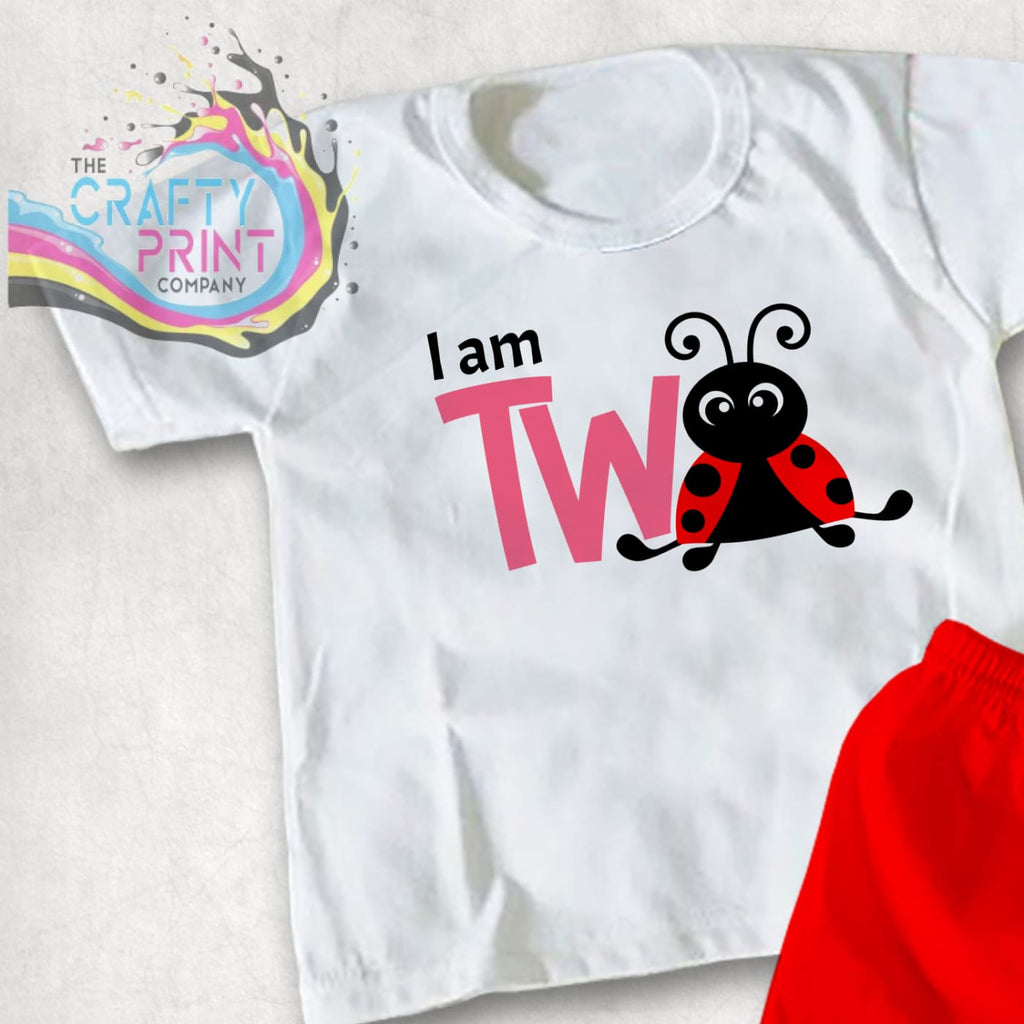 I am Two Ladybird T-shirt - White / Pink - Shirts & Tops